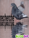 Rechercher