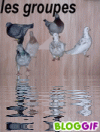 Groupes