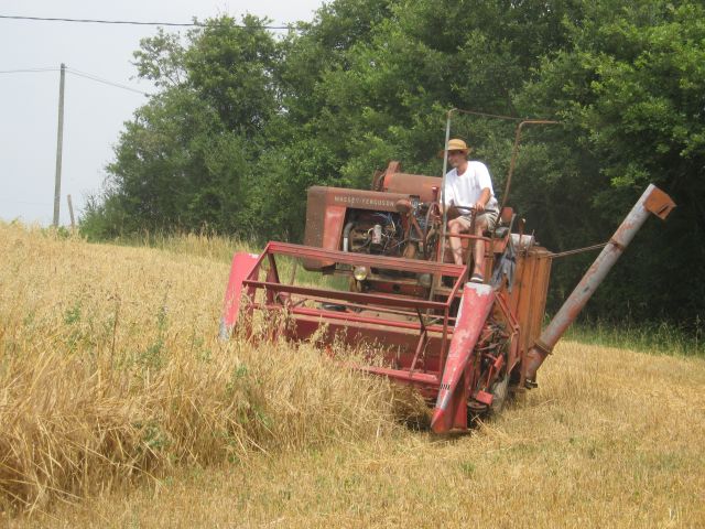 Balade dans le Gers 14.185