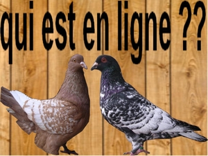 Qui est en ligne ?