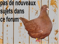 Pas de nouveaux messages Pas de nouveaux messages