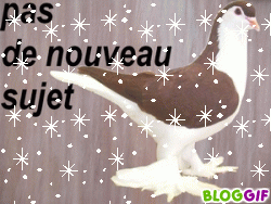 Pas de nouveaux messages