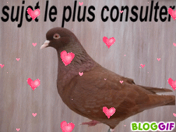 Pas de nouveaux messages