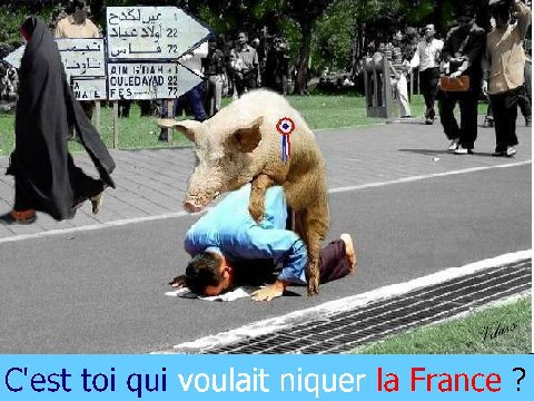 Plainte contre Marine Le Pen 13.217