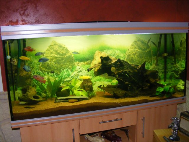 Look mon nouveau 450L 12.185