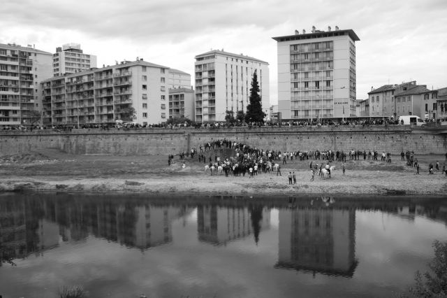 Ales - Ferrade 20.108