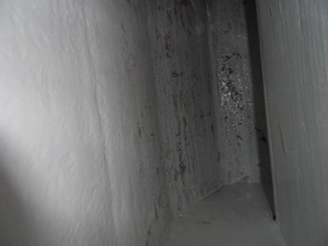 03.145.jpg