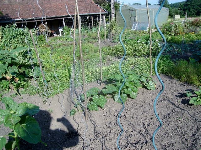 le potager 2013 12.25