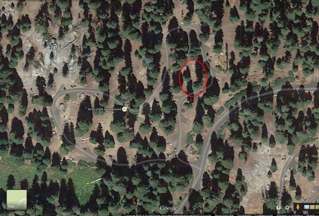 sequoia Park 03.48
