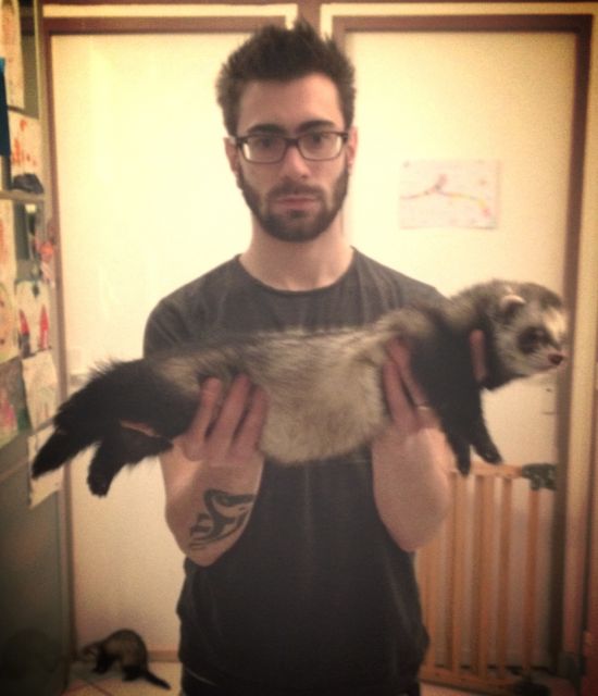 Rencontre furet