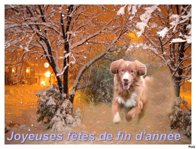 bonne fêtes de fin d'année 22.100