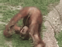 http://fotoforum.fr/photos/2015/04/28.18.gif