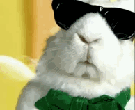 http://fotoforum.fr/photos/2016/04/03.10.gif