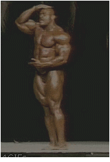 http://fotoforum.fr/photos/2017/05/13.1.gif