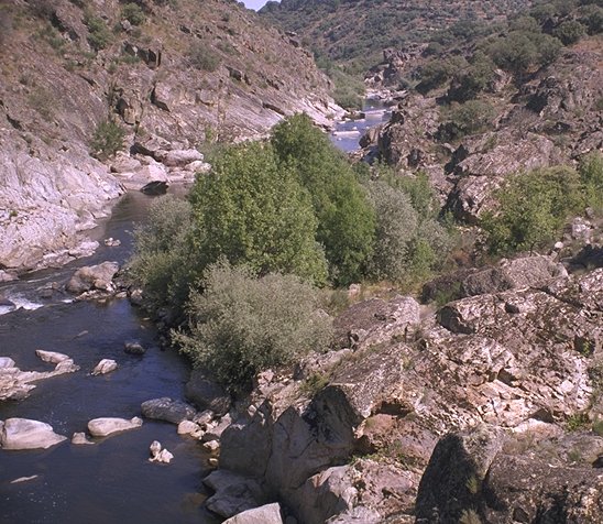 LE PONT DE LA RIVIERE COA le 24.07.1810 10.37