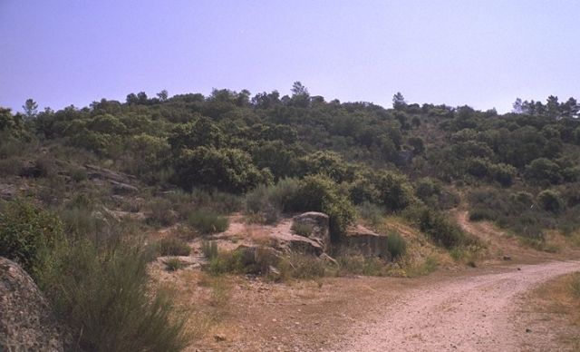LE PONT DE LA RIVIERE COA le 24.07.1810 10.39