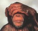 http://fotoforum.fr/photos/3/775bz4j4.jpg