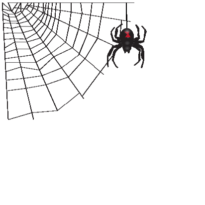 web